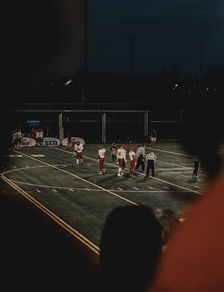 西亚卡姆迎来五赛季高光表现，法国队球迷沸腾！-bet365线上投注